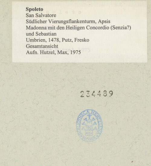 Rückseite von bh234489_recto