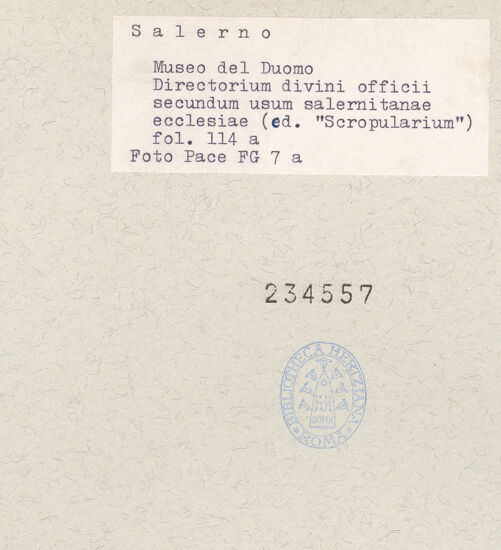 Rückseite von bh234557_recto