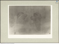 Thumbnail des fünften Ordners