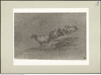 Thumbnail des ersten Ordners