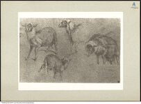 Thumbnail des zweiten Ordners