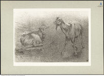 Thumbnail des vierten Ordners