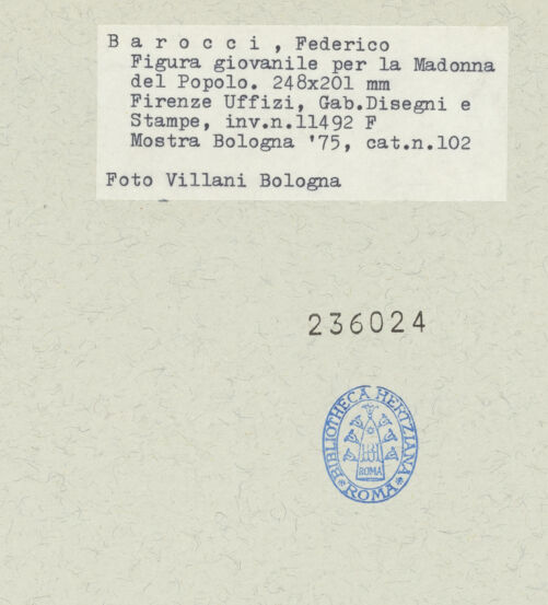 Rückseite von bh236024_recto