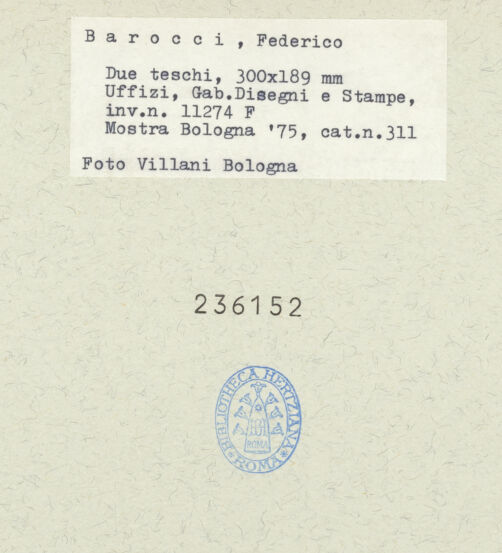 Rückseite von bh236152_recto