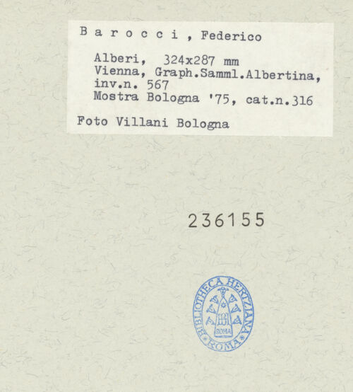 Rückseite von bh236155_recto