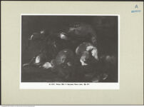 Thumbnail des 11. Ordners