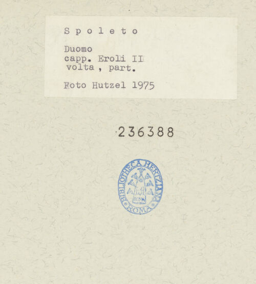 Rückseite von bh236388_recto