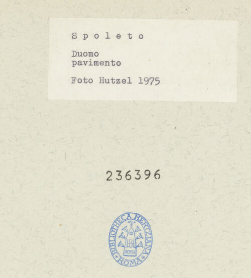 Rückseite von bh236396_recto