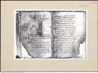 Thumbnail des 12. Ordners