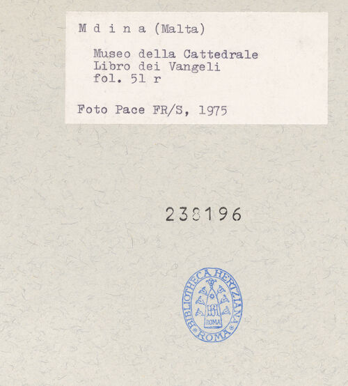 Rückseite von bh238196_recto