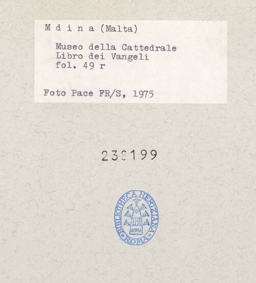 Rückseite von bh238199_recto