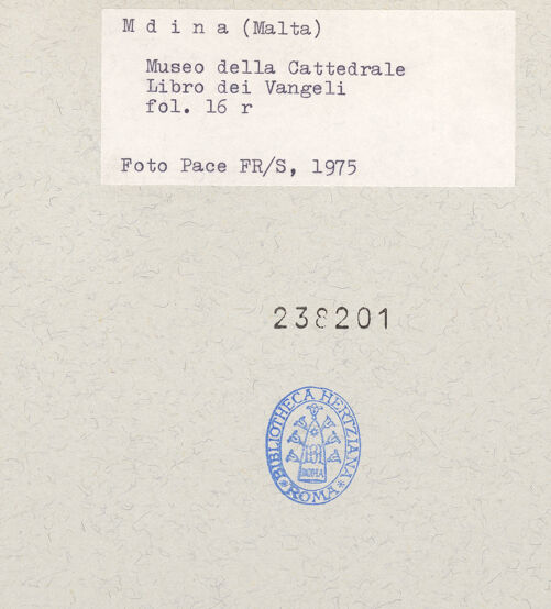 Rückseite von bh238201_recto