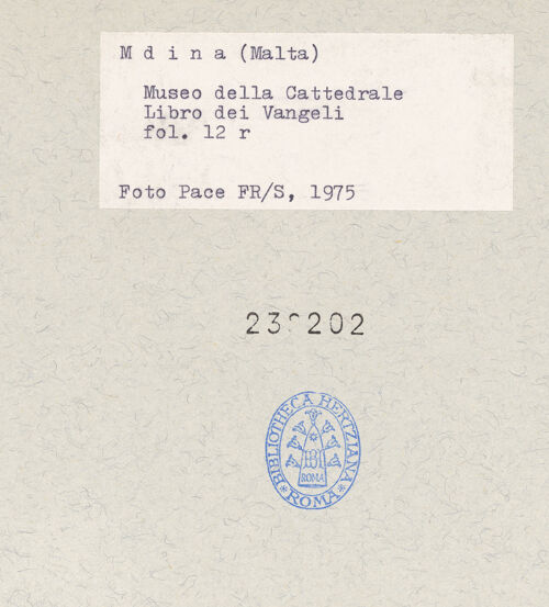 Rückseite von bh238202_recto