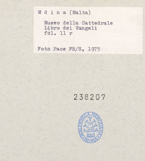 Rückseite von bh238207_recto