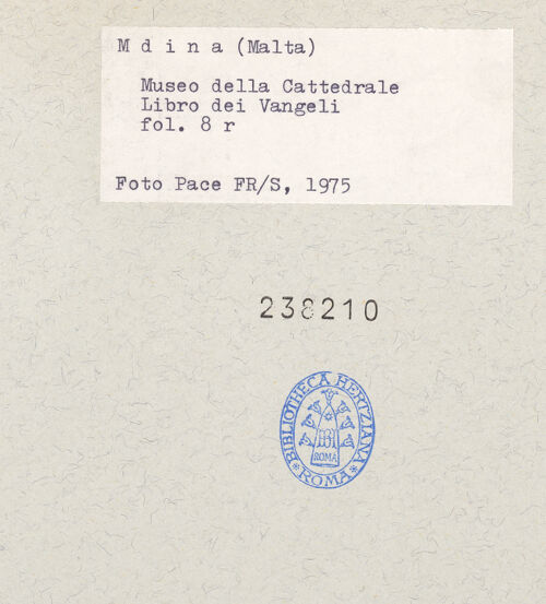 Rückseite von bh238210_recto