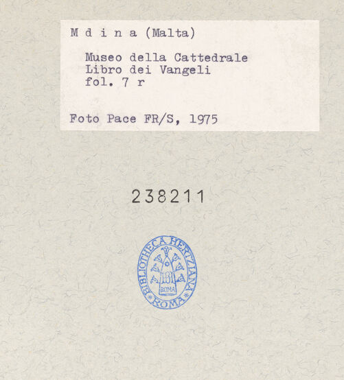 Rückseite von bh238211_recto