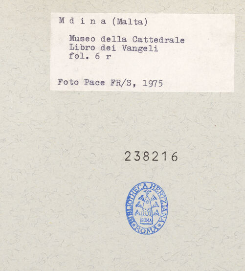 Rückseite von bh238216_recto