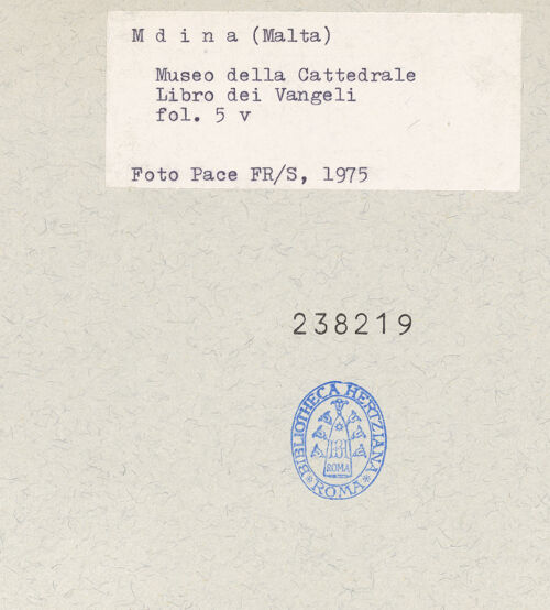 Rückseite von bh238219_recto