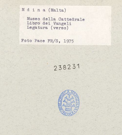 Rückseite von bh238231_recto