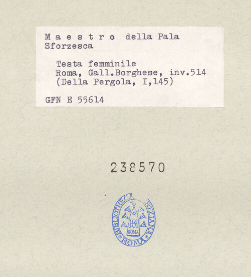 Rückseite von bh238570_recto