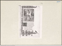 Thumbnail des 21. Ordners