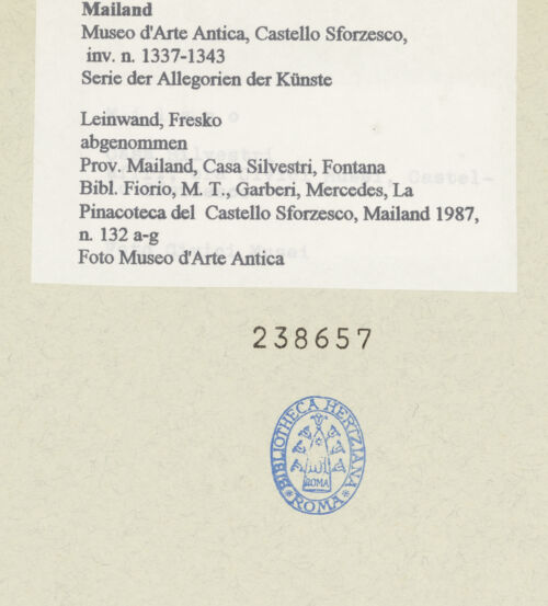 Rückseite von bh238657_recto