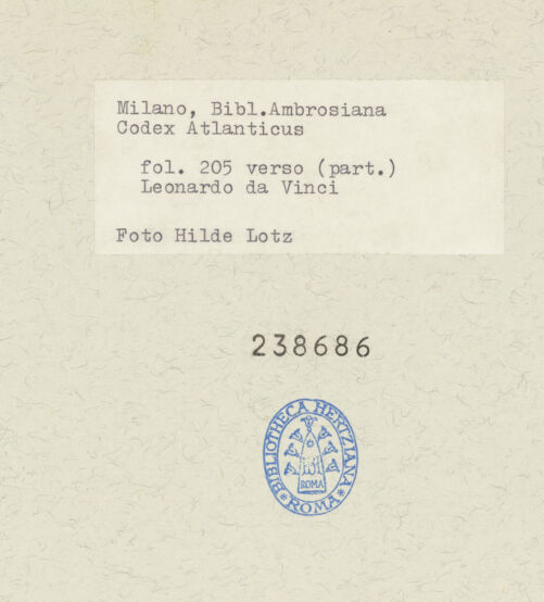 Rückseite von bh238686_recto