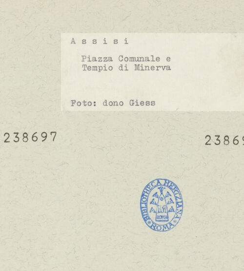 Rückseite von bh238697_bh238698_recto