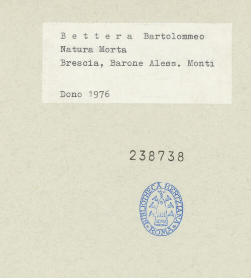 Rückseite von bh238738_recto