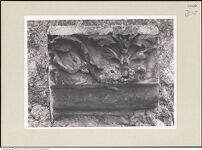 Thumbnail des 9. Ordners