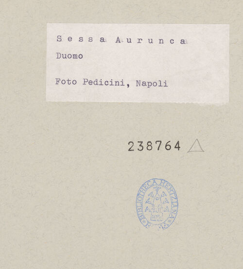 Rückseite von Pedicini, Luciano [https://www.deutsche-digitale-bibliothek.de/content/lizenzen/rv-ez/] Adler - Frontalansicht, bh238764_recto. Foto: Pedicini, Luciano.