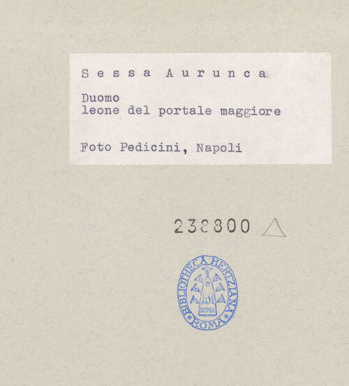 Rückseite von Pedicini, Luciano [https://www.deutsche-digitale-bibliothek.de/content/lizenzen/rv-ez/] HauptportalLöwen seitlich des Portals - Löwe links, bh238800_recto. Foto: Pedicini, Luciano.