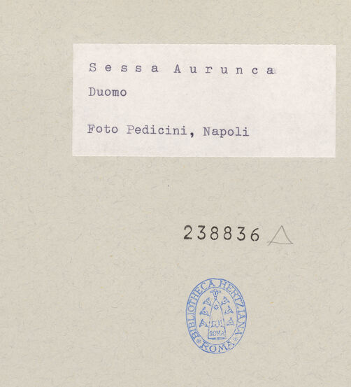 Rückseite von Pedicini, Luciano [https://www.deutsche-digitale-bibliothek.de/content/lizenzen/rv-ez/] Franz Xaver - Gesamtansicht, bh238836_recto. Foto: Pedicini, Luciano.