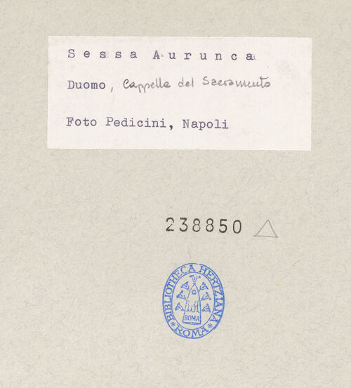 Rückseite von Pedicini, Luciano [https://www.deutsche-digitale-bibliothek.de/content/lizenzen/rv-ez/] Engel - Gesamtansicht, bh238850_recto. Foto: Pedicini, Luciano.