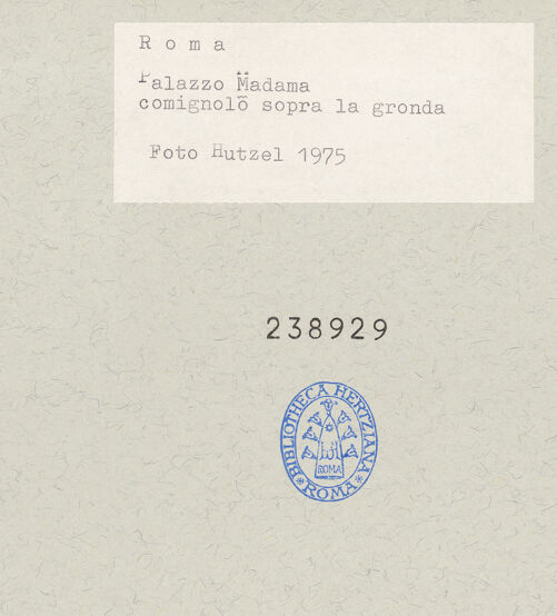 Rückseite von bh238929_recto