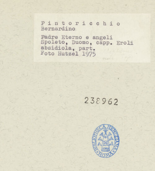 Rückseite von bh238962_recto