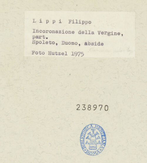 Rückseite von bh238970_recto