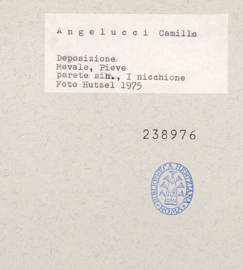 Rückseite von bh238976_recto