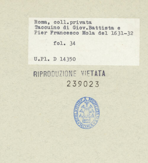 Rückseite von bh239023_recto