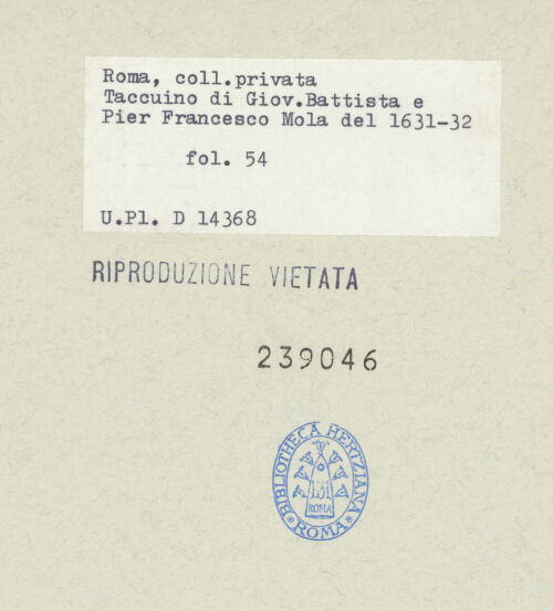 Rückseite von bh239046-1_bh239046-2_recto