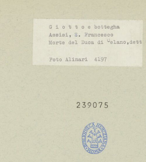 Rückseite von bh239075_recto