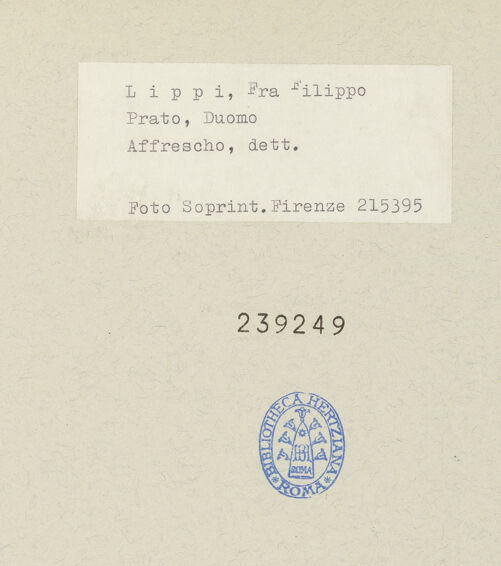 Rückseite von bh239249_recto