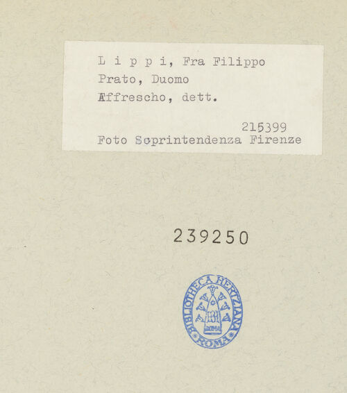 Rückseite von bh239250_recto