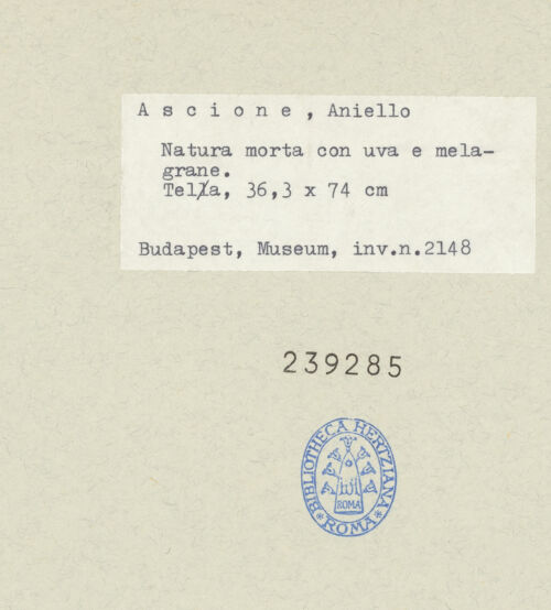 Rückseite von bh239285_recto