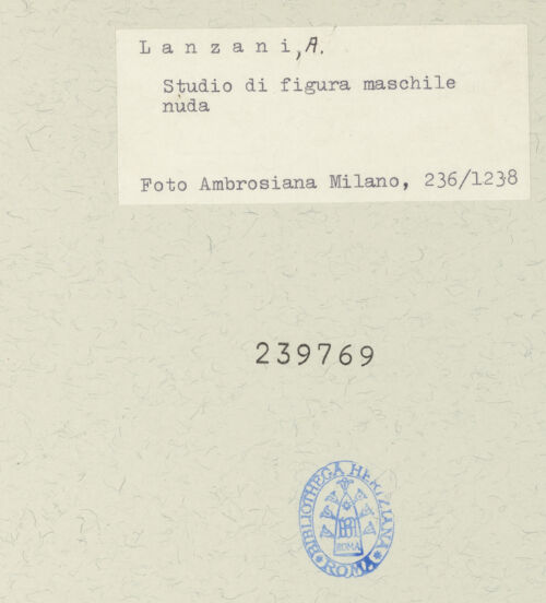 Rückseite von bh239769_recto