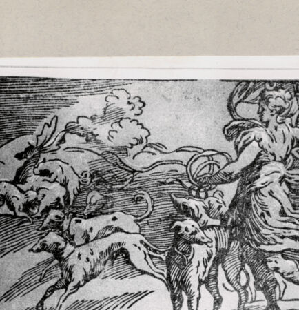 Rückseite von  [http://creativecommons.org/publicdomain/mark/1.0/] ... - , bh239942. Foto.