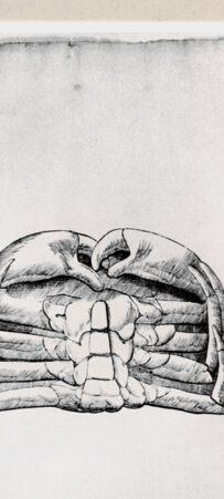 Rückseite von Bibliotheca Hertziana [http://creativecommons.org/publicdomain/mark/1.0/] Krebs - , bh240189. Foto.