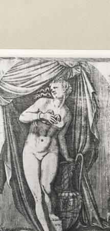 Rückseite von  [http://creativecommons.org/publicdomain/mark/1.0/] Cleopatra - , bh240960. Foto.