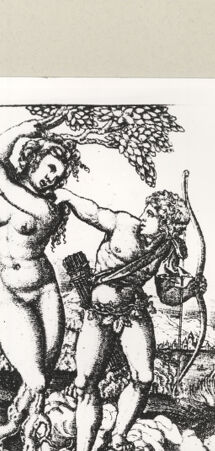 Rückseite von  [http://creativecommons.org/publicdomain/mark/1.0/] Daphne und Apoll (Kopie von der Gegenseite) - , bh240971. Foto.