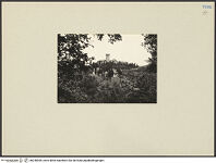 Thumbnail des 9. Ordners